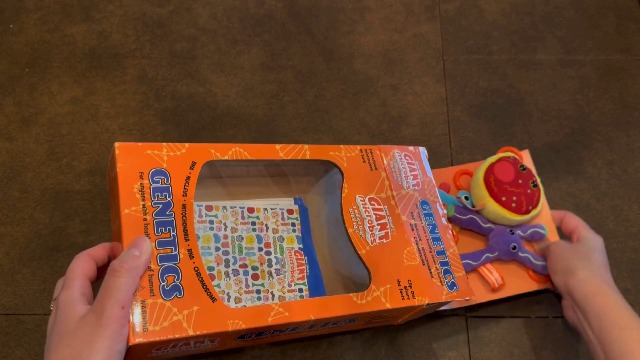 Amazon.com: GIANTmicrobes Genetics Themed Gift Box, Genetics Gifts